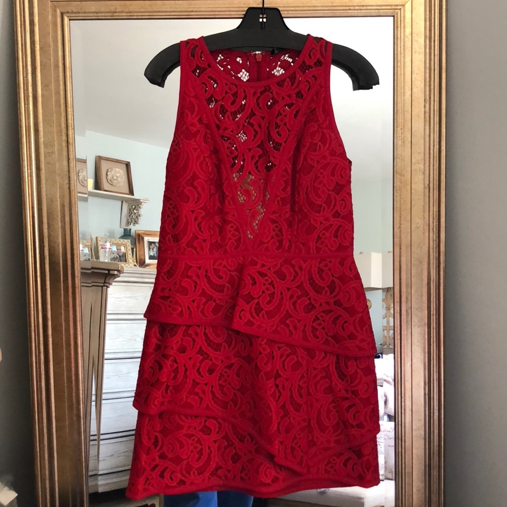 Gorgeous BCBGMAXAZRIA Lace dress